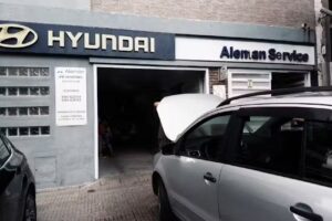 Alem&aacute;n service