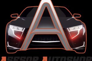 Asesor Autoshop