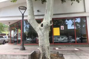 AUTOMOTORES AMBROCIO