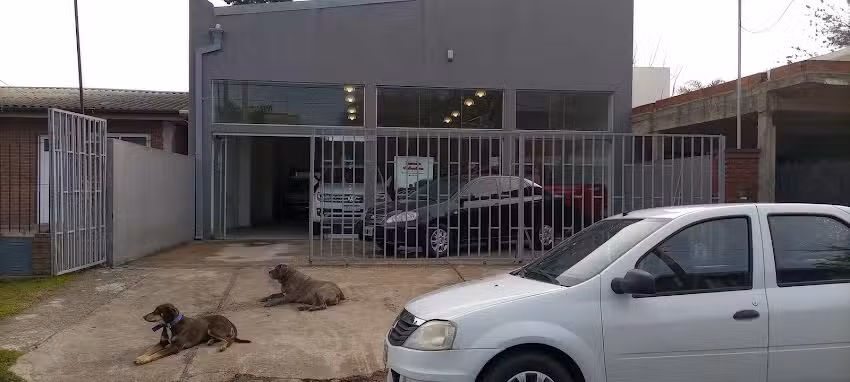 Automotores NECOCHEA ( Campana BS AS )