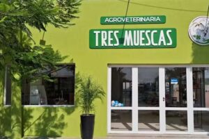 AUTONORTE AUTOMOTORES