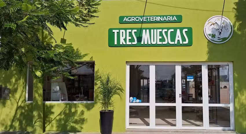 AUTONORTE AUTOMOTORES