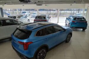 Concesionaria AVANIM