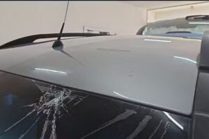 Dent Master Sacabollos