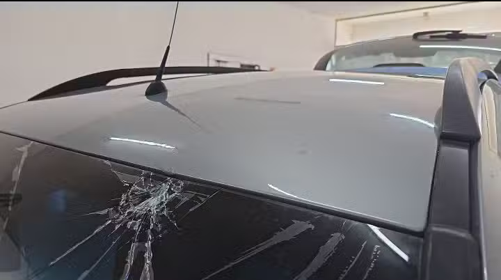 Dent Master Sacabollos