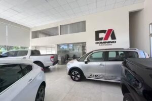 DOMININO AUTOMOTORES