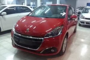 FALKENBERG MEYER Automotores