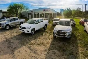 Federico Alfonsin Automotores