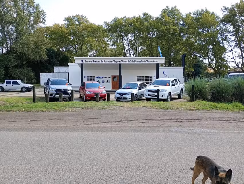 GESTOR&Iacute;A Y ASEGURADORA CL