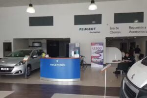 Metz Peugeot Oficial Chaco