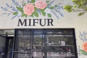 Mifur
