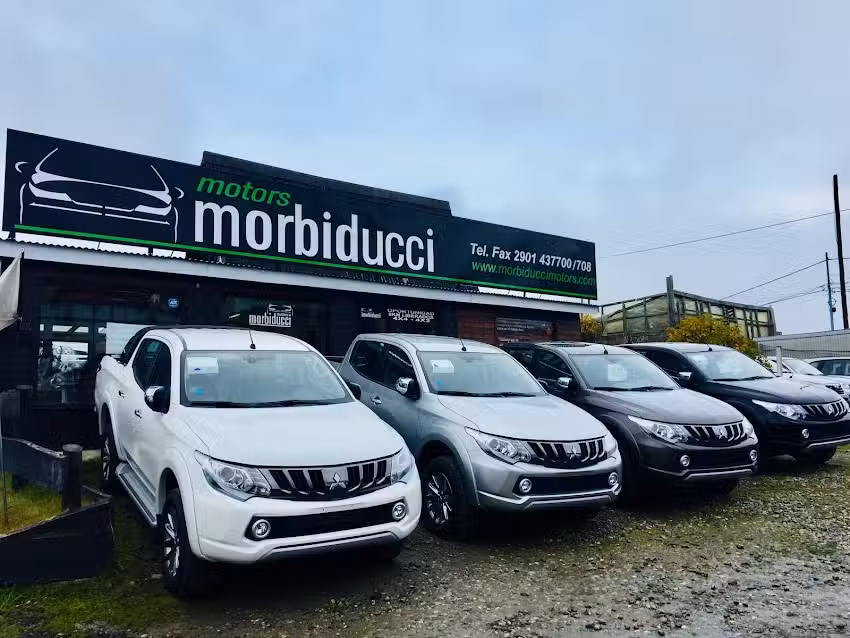 Morbiducci Motors