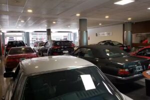 MultiMotors ARG s.a.