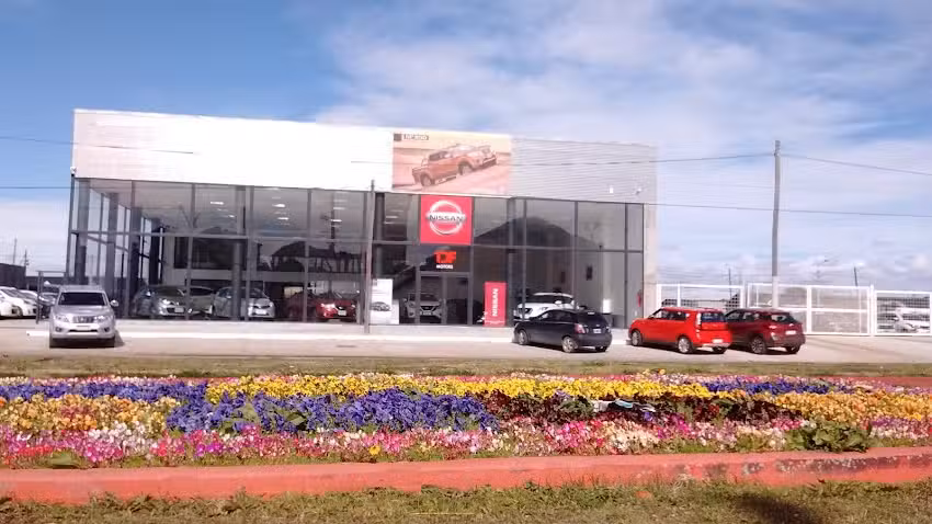 NISSAN TDF &ndash; B4 SRL