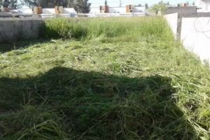 Playa de autos PICCO