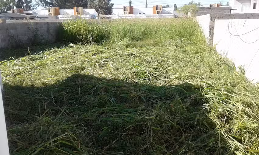 Playa de autos PICCO