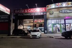 Ricardo Bassi Multimarcas