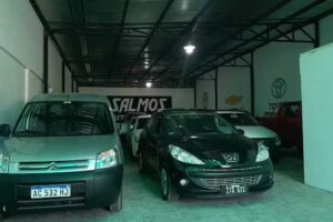 Salmos automotores
