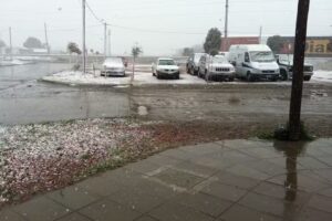 SICURANI E HIJOS REPUESTOS Y SERVICIO MERCEDES BENZ