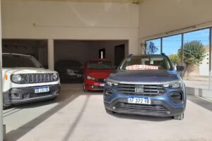 Silvina Sanchez Automotores