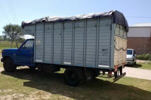 Tenedini Automotores